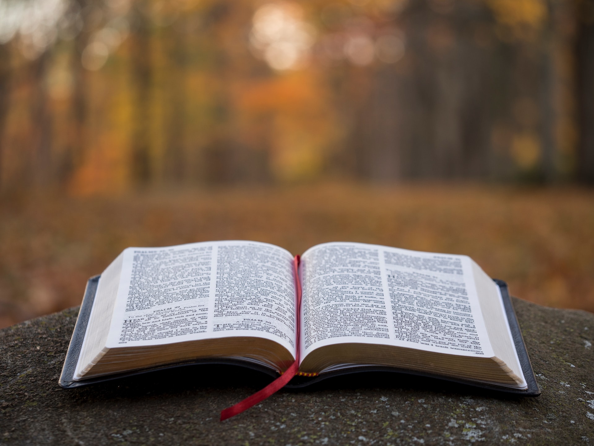 查考圣经能得有永生吗？